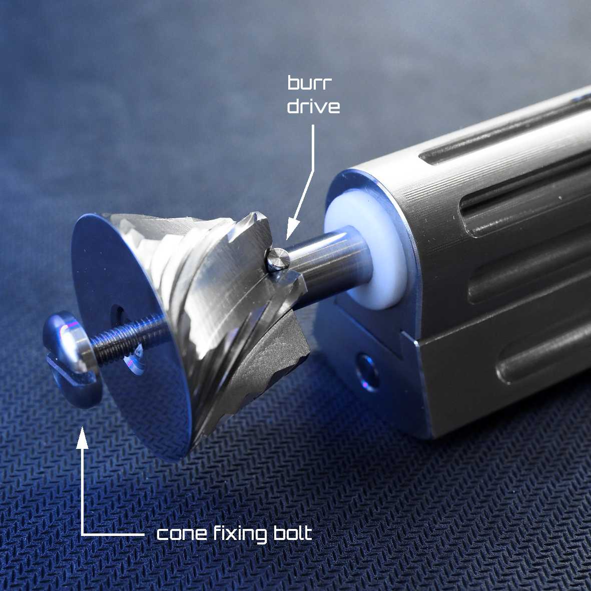 coffee grinder burr